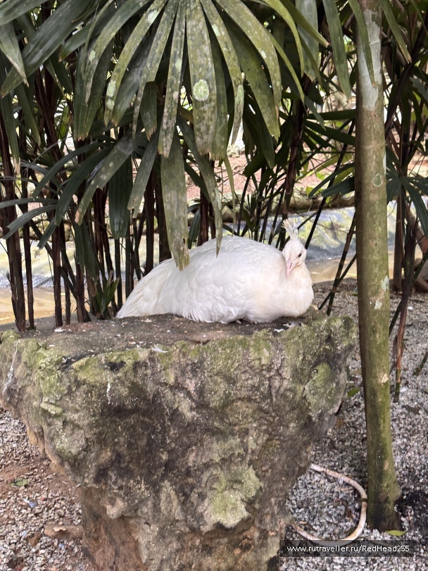 photo 2138083
