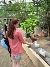 photo 2138084