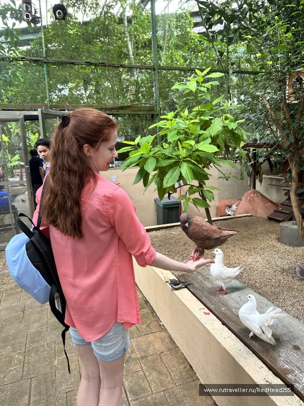 photo 2138084