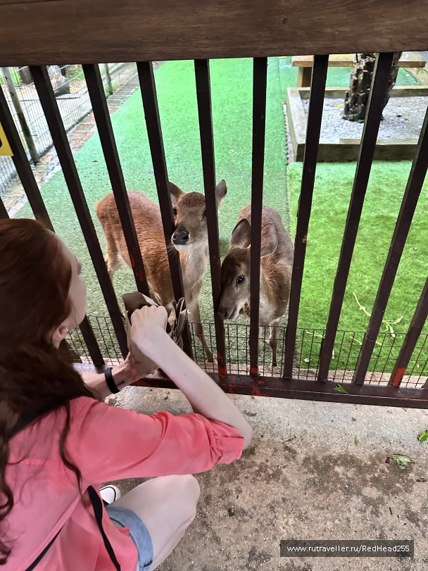 photo 2138085