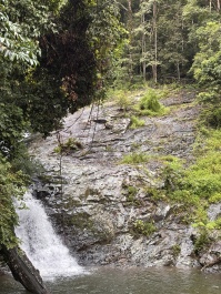 photo 2138073