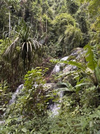 photo 2138075