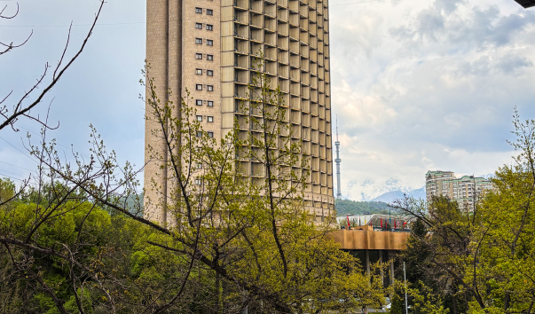 IMG_2237.JPG