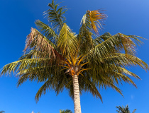 Остров Мируфенфуши