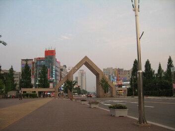 photo 496910