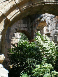photo 283266