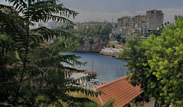 IMGP1843