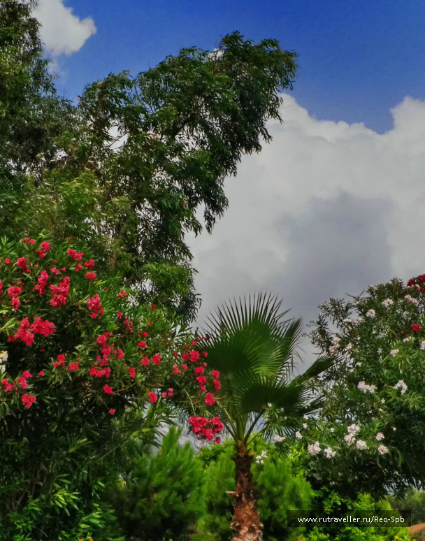 photo 307209