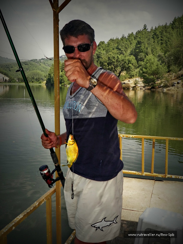 photo 338630