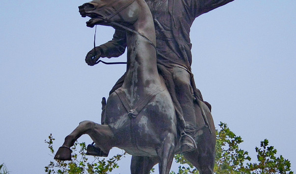 IMGP1854