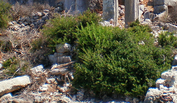 P8150079