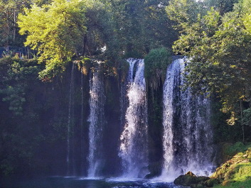 photo 563642