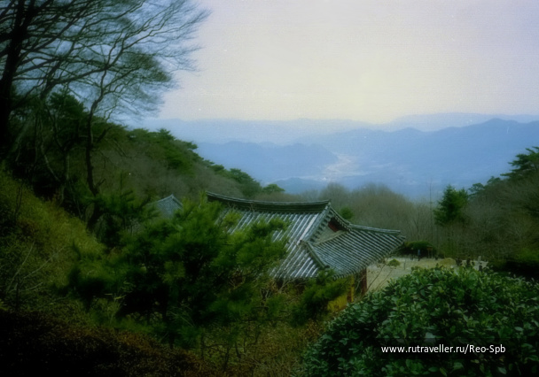 photo 275356