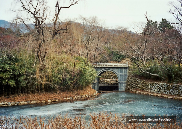 photo 275751