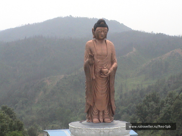 photo 275875