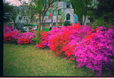 photo 342843