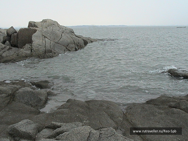 photo 506165
