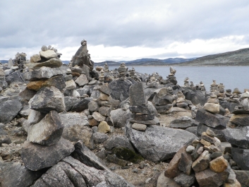 photo 272383