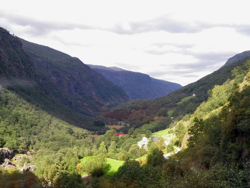 photo 330920
