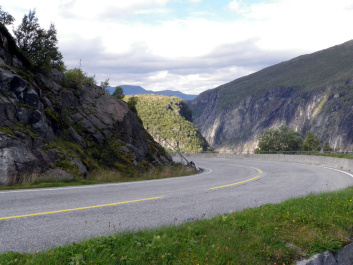 photo 334025