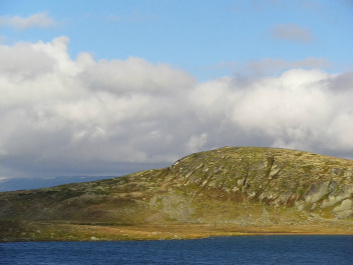 photo 426535