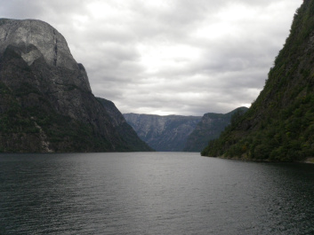 photo 503733