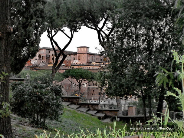 photo 273429
