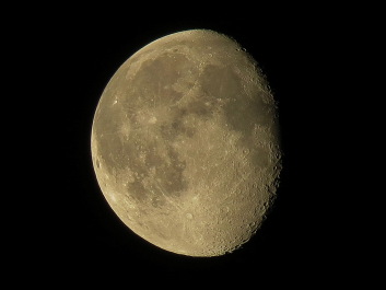 photo 279007