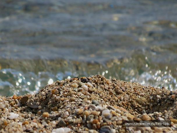 photo 298785