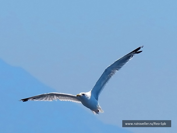 photo 345601