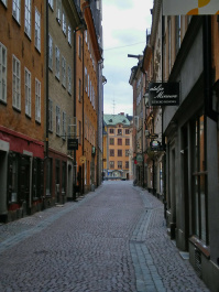 photo 282911