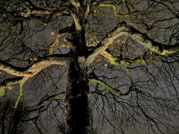 photo 577811