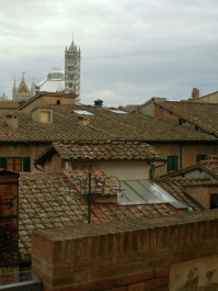 photo 282894