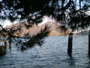 photo 431853