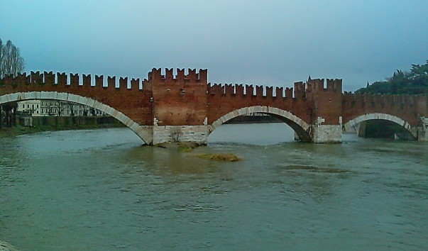 IMAG0101