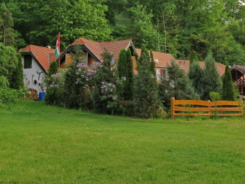 photo 381814