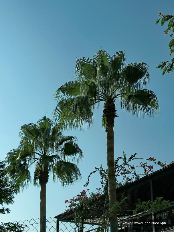 photo 486597