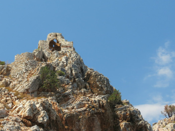 photo 490492