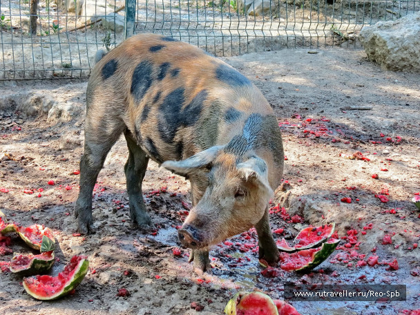 photo 493822