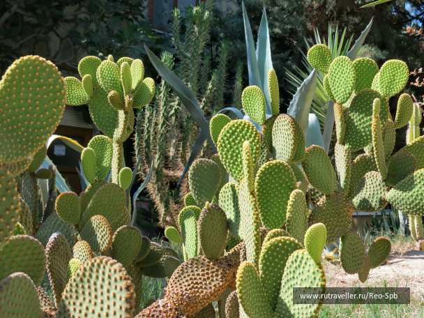photo 495340