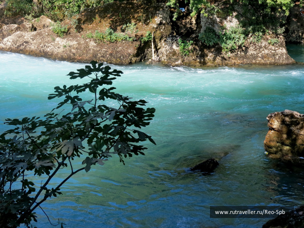 photo 495363