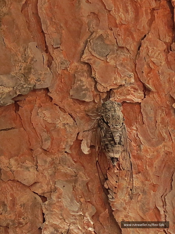 photo 496847