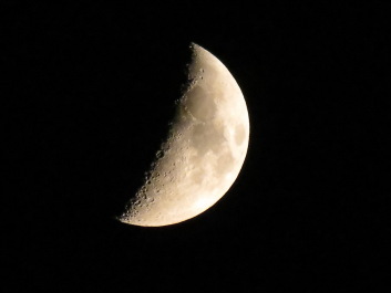 photo 591550