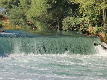 photo 593638