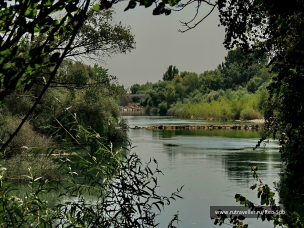 photo 613324