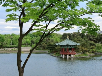 photo 737734