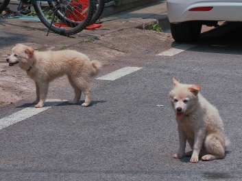 photo 753507