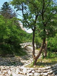 photo 873342