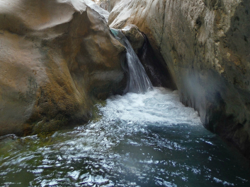 photo 993221