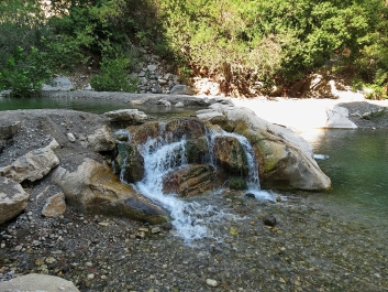 photo 840649